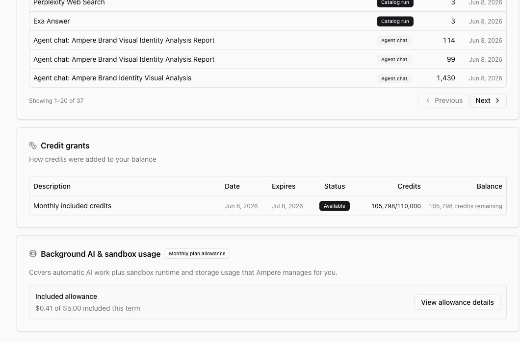Usage dashboard credit grants and background AI allowance cards with populated values.