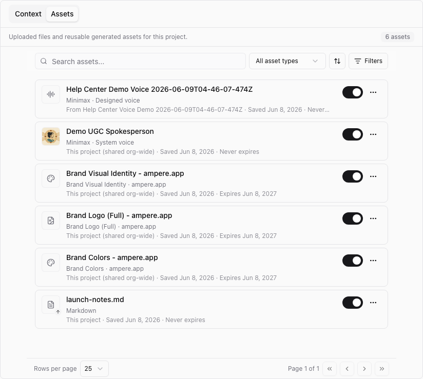 Project Assets tab showing saved brand reports and filters.