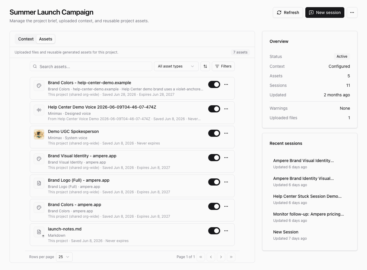 Project Assets tab with reusable brand assets and session controls.