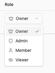 Team members role selector showing Owner, Admin, Member, and Viewer organization roles
