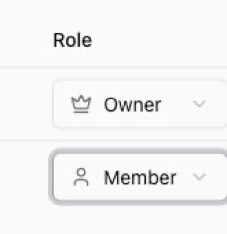 Team settings role column showing Owner and Member role controls.